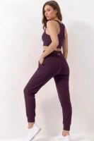 Kadın Mürdüm Çift Cepli Yüksek Bel Jogger Eşofman Altı ve Fermuarlı Büstiyer Crop Alt Üst Takım