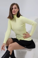 Kadın Sarı Basic Balıkçı Yaka Triko Kazak